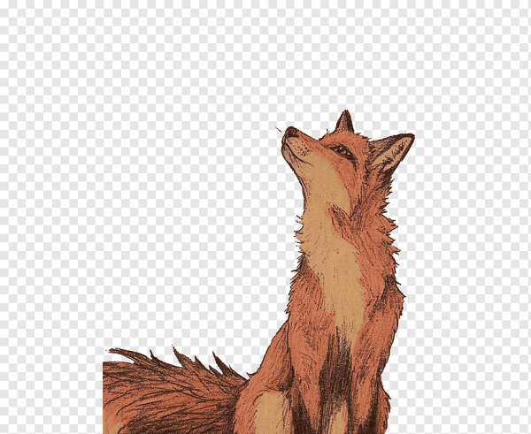 Лиса арт на белом фоне
