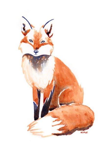 Лиса акварелью в полный рост