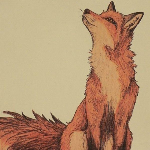 Лиса со спины