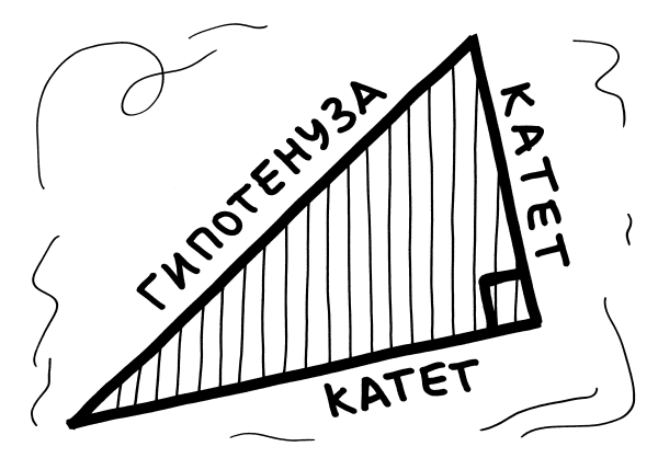 Теорема Пифагора шаржи