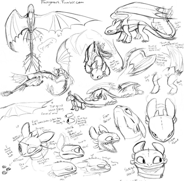 Анатомия ночной фурии дракона