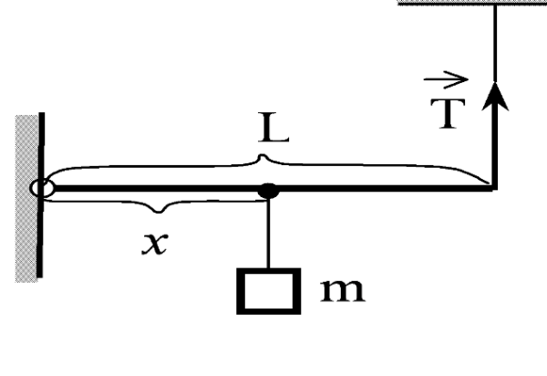 Неподвижный блок с 3 грузами Ньютон