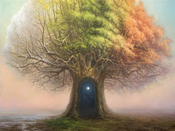 Томаш Ален Копера дерево