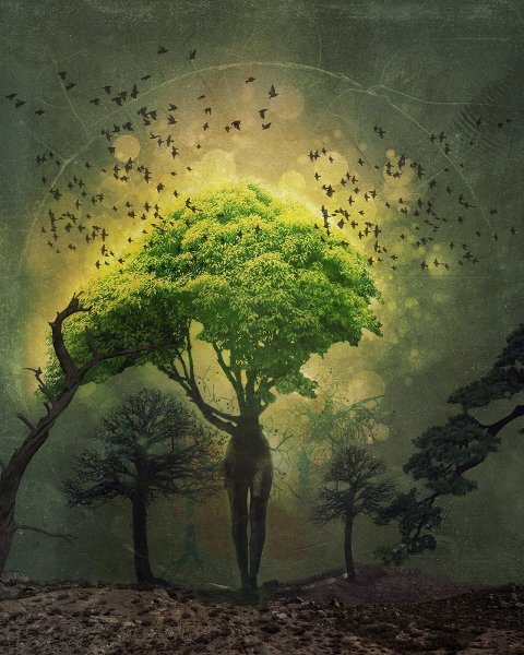 Сюрреалистическое дерево