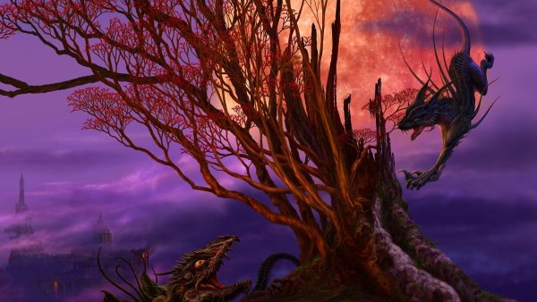 Магическое дерево