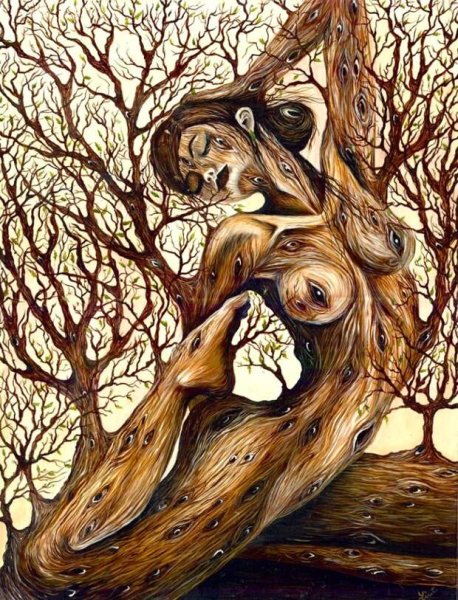 Лисет алькальд художник