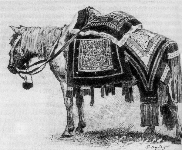 Табун якутских лошадей