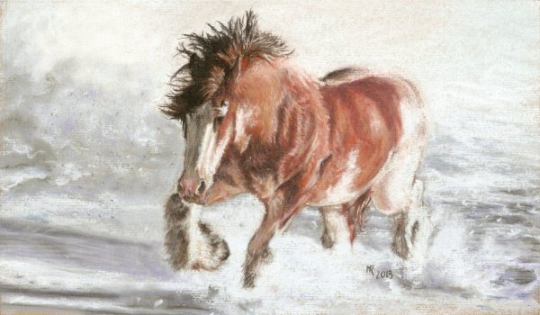 Якутская лошадь раскраска