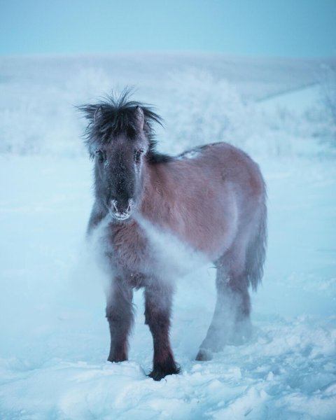 Ньургун Боотур