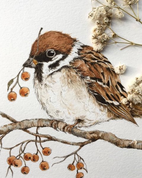 Воробей мультяшный