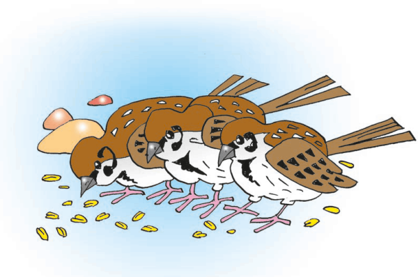 Воробей из сказки