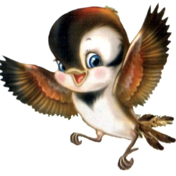 Птички и зернышки рисунок