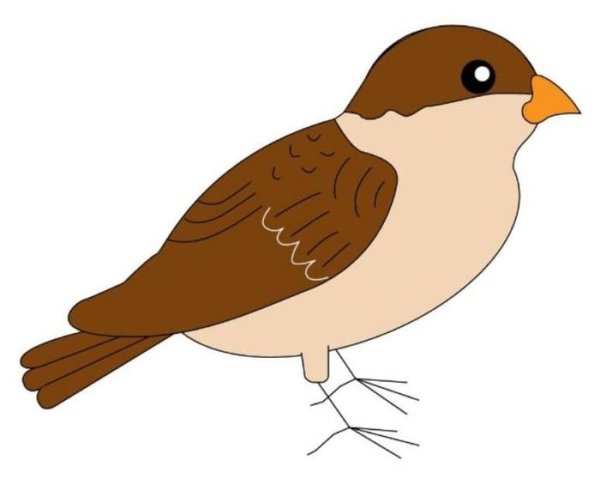 Наброски воробья