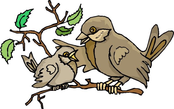 Грустный Воробей