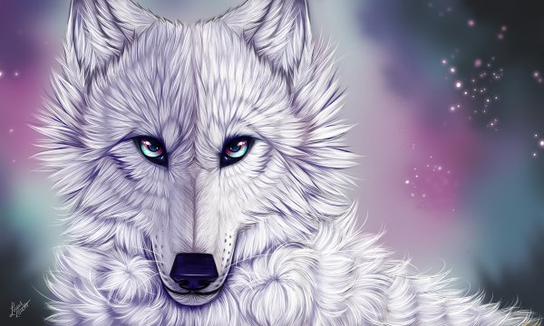 Белая волчица с голубыми глазами