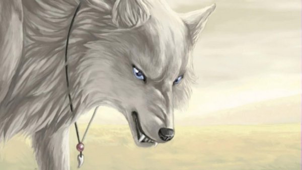 Белый волк со шрамом