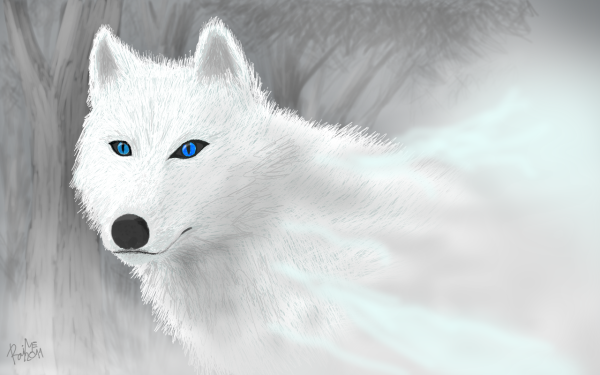 Белый волк с голубыми глазами