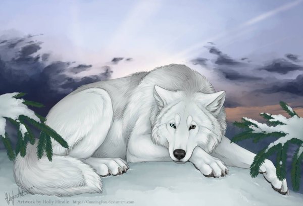 Огромный белый волк арт