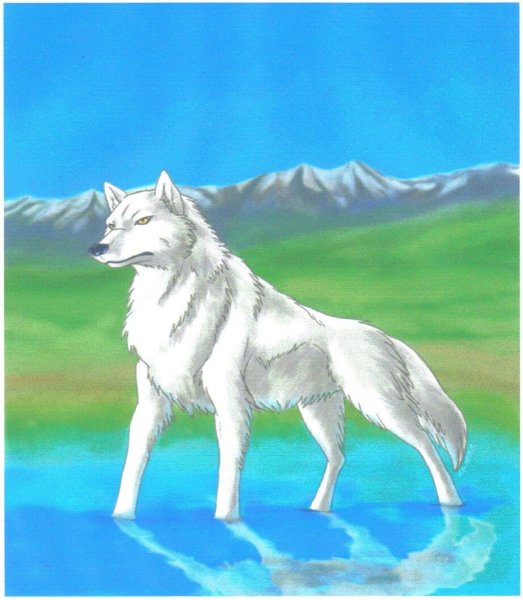 Волки Воители белая волчица