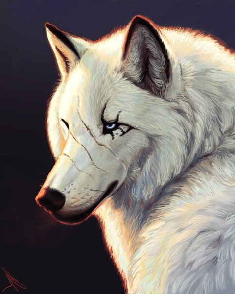 Волк фэнтези