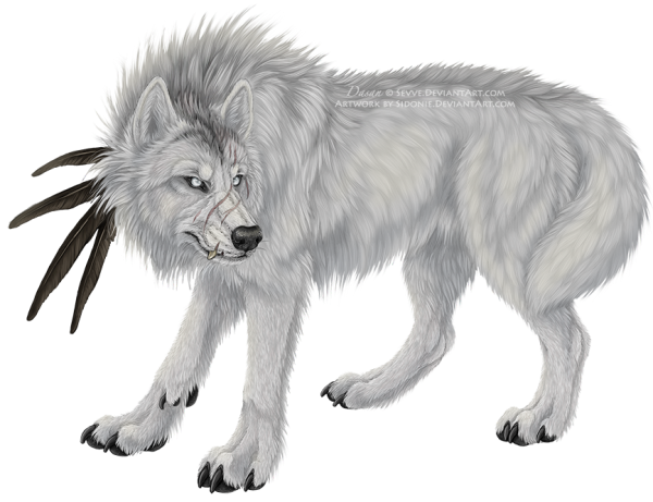 Белый волк нарисованный