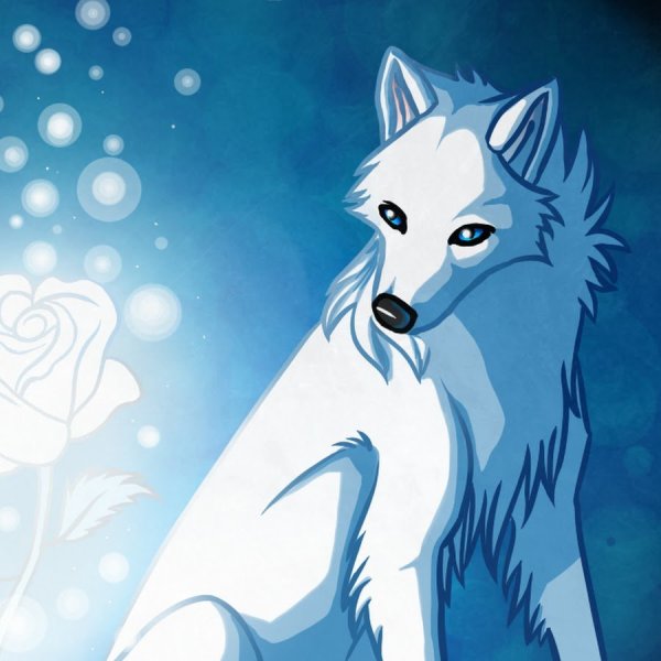 Белый волк с голубыми глазами арт