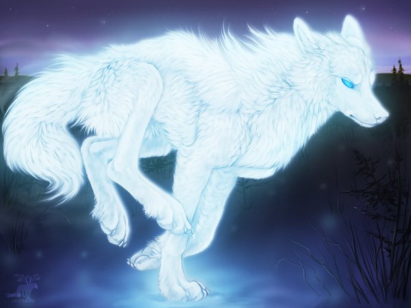 Белый волк аниме
