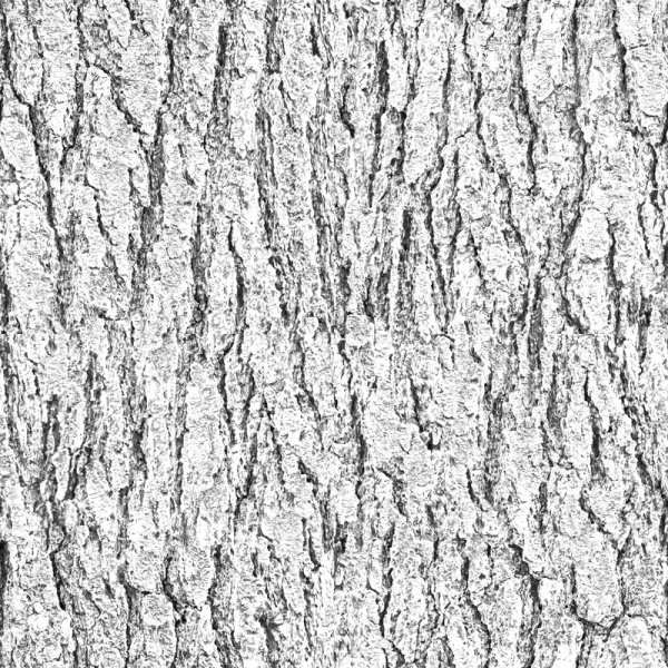 Кора дерева бамп карта