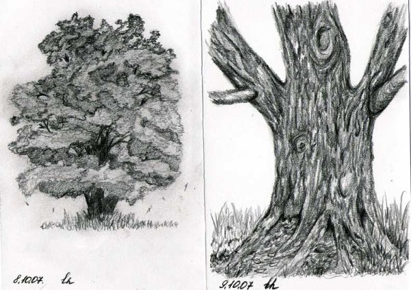 Рисование коры дерева