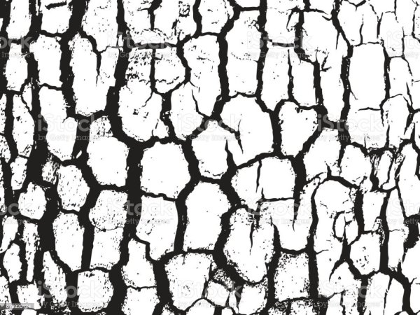 Фактура коры дерева вектор