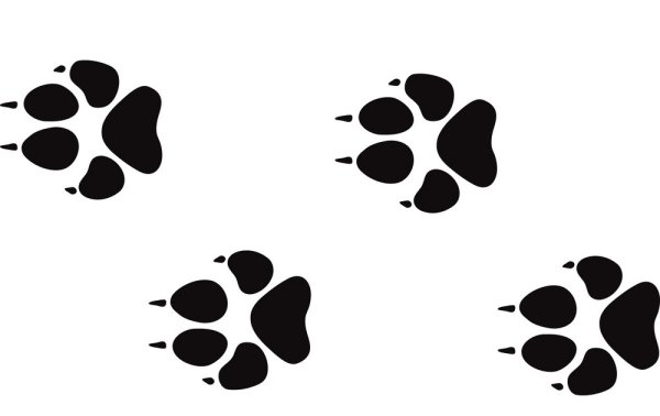 Волк с лапами наколка