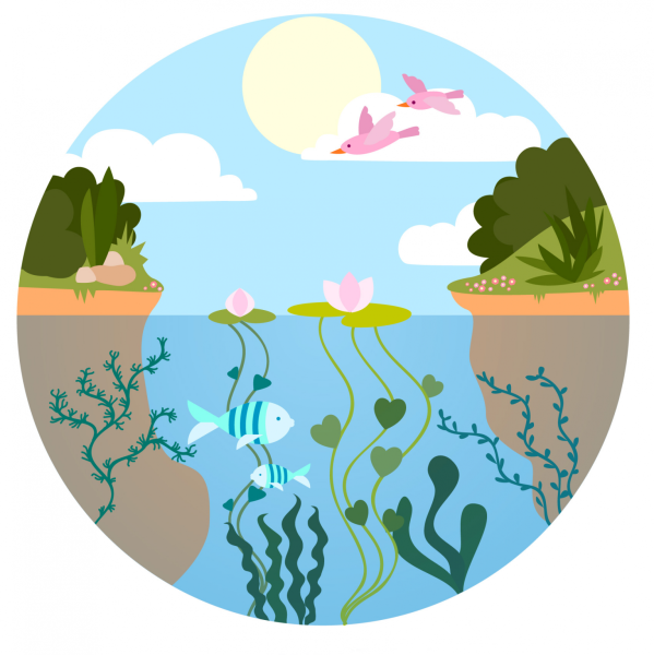 Экосистема вектор