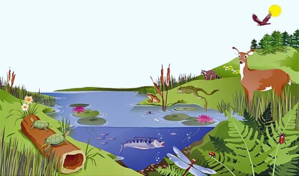 Экосистема для детей