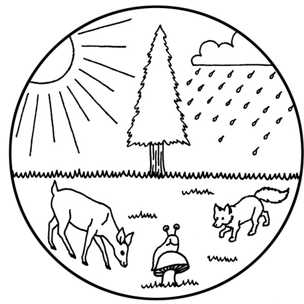 Экологическая система рисунок