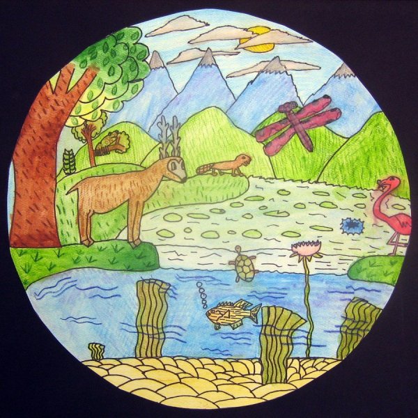 Нарисовать экосистему