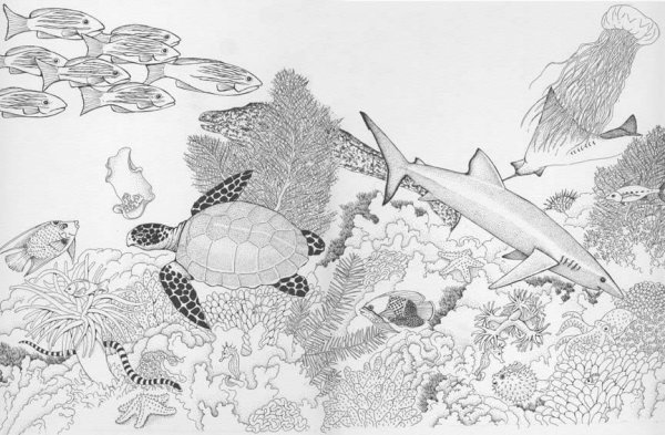 Экосистема раскраска