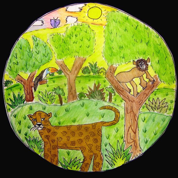 Экосистема рисунок для детей