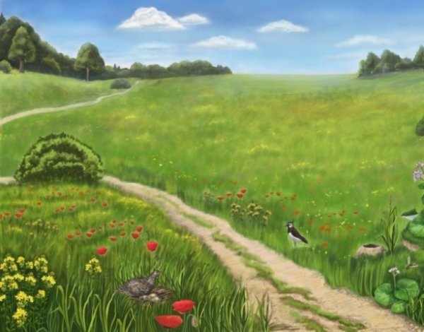 Сказочный луг