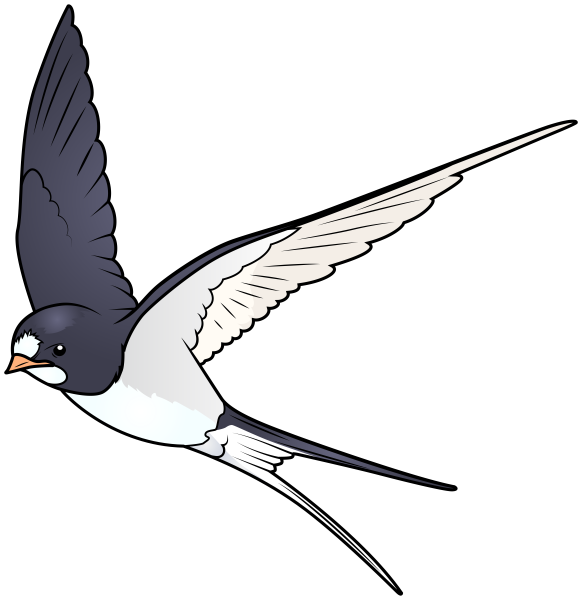 Перелетные птицы Ласточка для детей