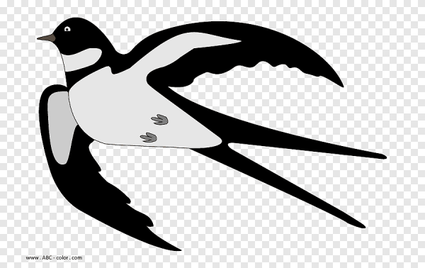 Ласточка для детей