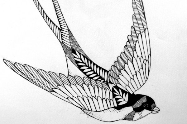 Птицы Графика