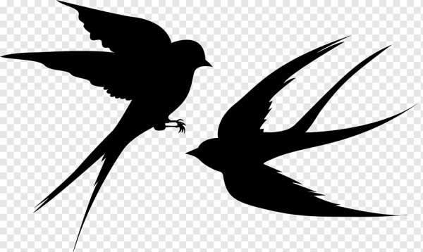 Ласточка силуэт