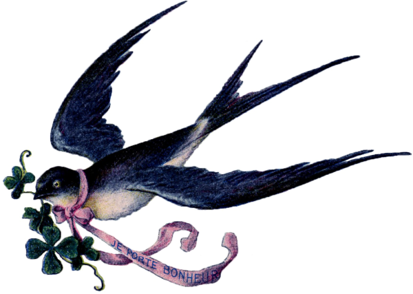 Калдиргоч куш