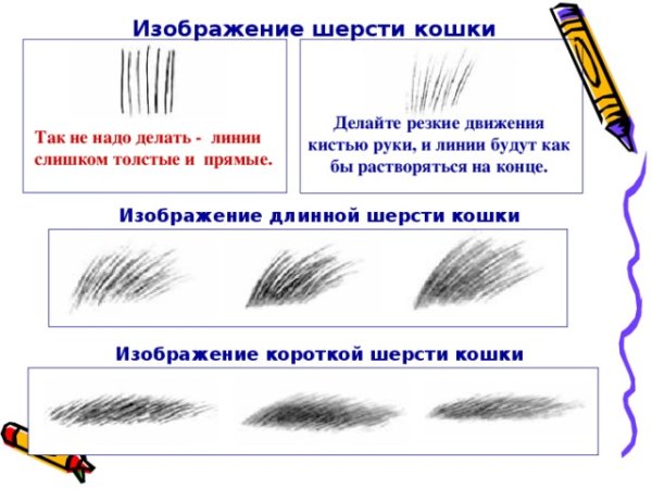 Исследуем шерсть животных практическая работа
