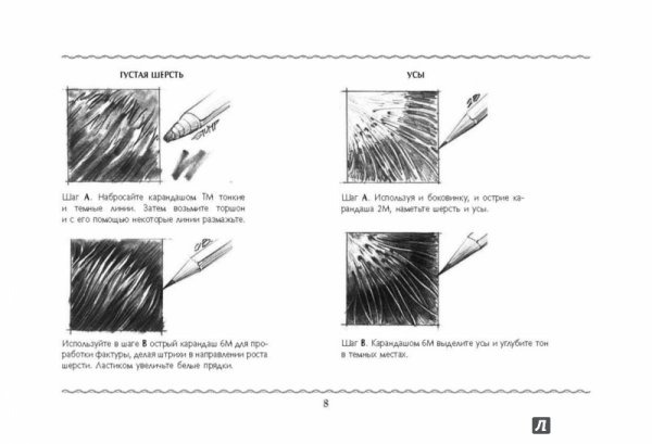 Нарисовать шерсть кошки