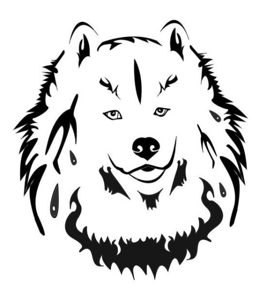 Самоедская лайка