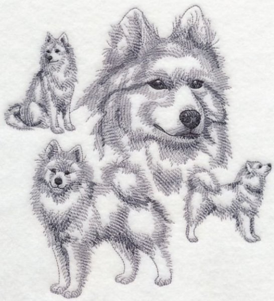 Самоед набросок