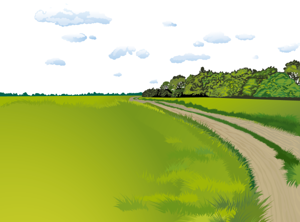 Нарисовать поле с дорогой