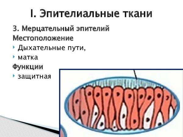 Однослойный многорядный призматический мерцательный