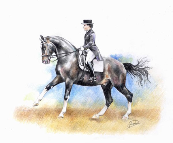 Иллюстрации Конни спорт